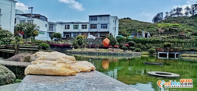 每日一景 | 宁德柘荣：“醉”于“游朴故里”-3.jpg