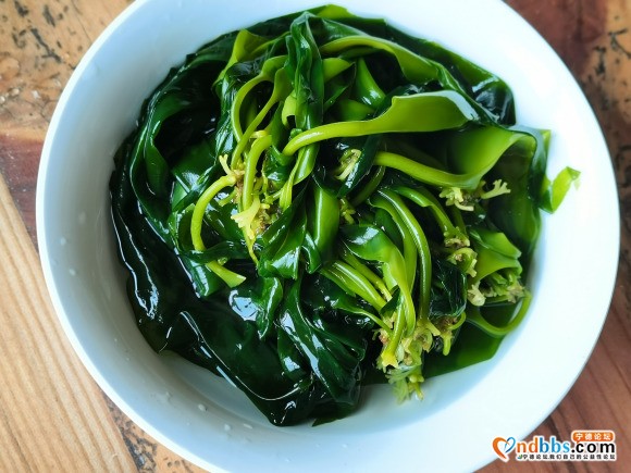 霞浦海带苗 批发。一件代发。招代理！-3.jpg