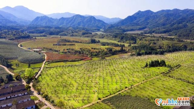 播报 | 福建宁德试点导师帮带制 建起800人左右的市级帮带导师队伍-2.jpg