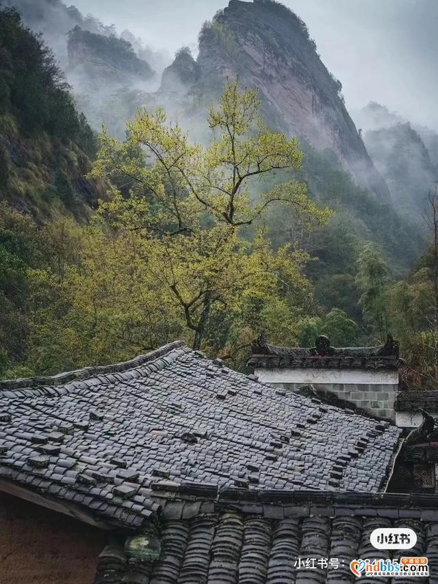 不行了，福建的这些好山真的藏不住了！-13.jpg