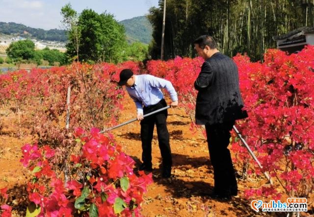 队伍教育整顿 | 我为群众办实事 共建共享生态美-6.jpg