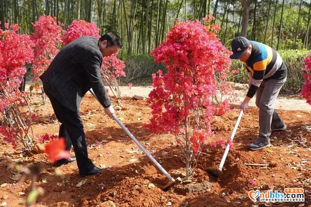 队伍教育整顿 | 我为群众办实事 共建共享生态美-8.jpg