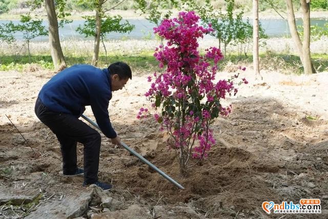 队伍教育整顿 | 我为群众办实事 共建共享生态美-7.jpg