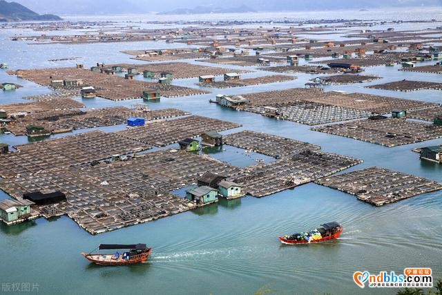 2020中国宜居宜业的城市-宁德市 精彩照片欣赏-4.jpg