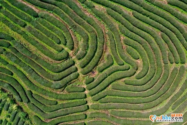 从百万米高空，看总书记牵挂的八闽山水！| 气象卫星看中国⑨-6.jpg