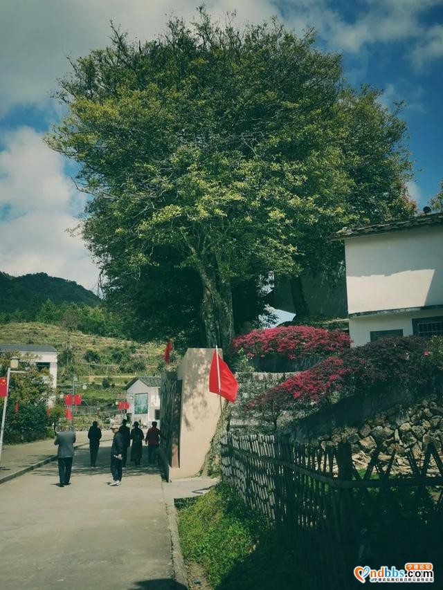 闽东红土地丨霍童桃花溪：学党史，新天地-5.jpg