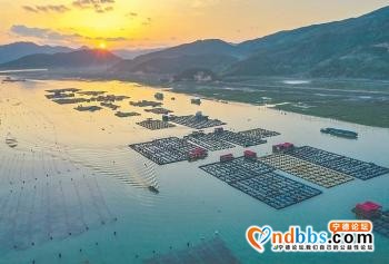 守护碧海银滩 福建有一套-1.jpg