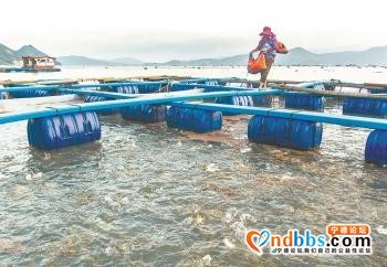 宁德：海上田园的绿色发展之路-1.jpg