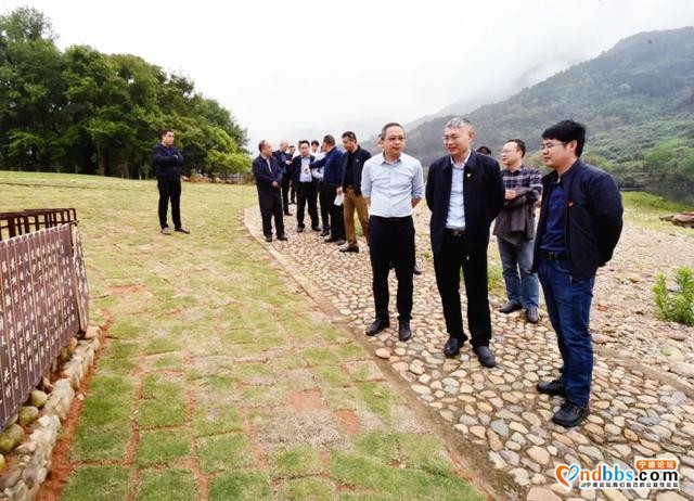 再学习 再调研 再落实 | 霍童溪沿岸绿化美化工作，区长何必良这样强调……-3.jpg