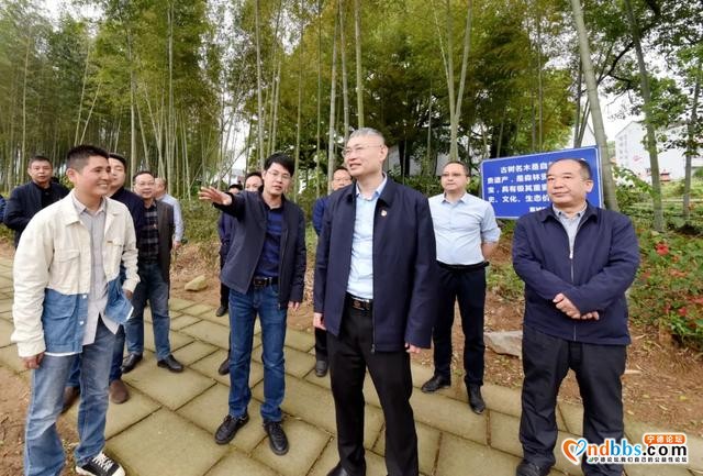 再学习 再调研 再落实 | 霍童溪沿岸绿化美化工作，区长何必良这样强调……-1.jpg