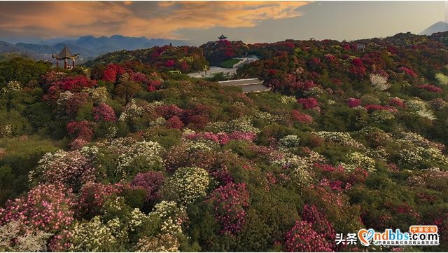 清明踏青小指南｜人间最美四月天 这10个地方值得一去-9.jpg