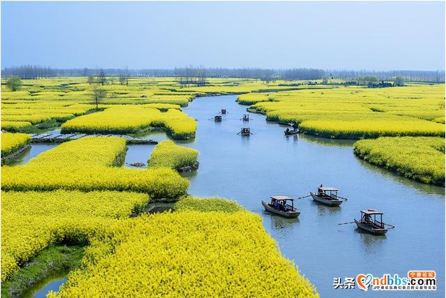 清明踏青小指南｜人间最美四月天 这10个地方值得一去-11.jpg