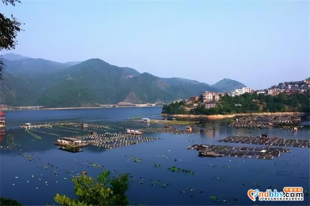 不必远行！宁德周边这八处人少景美的古村落，去过3个算你厉害-65.jpg