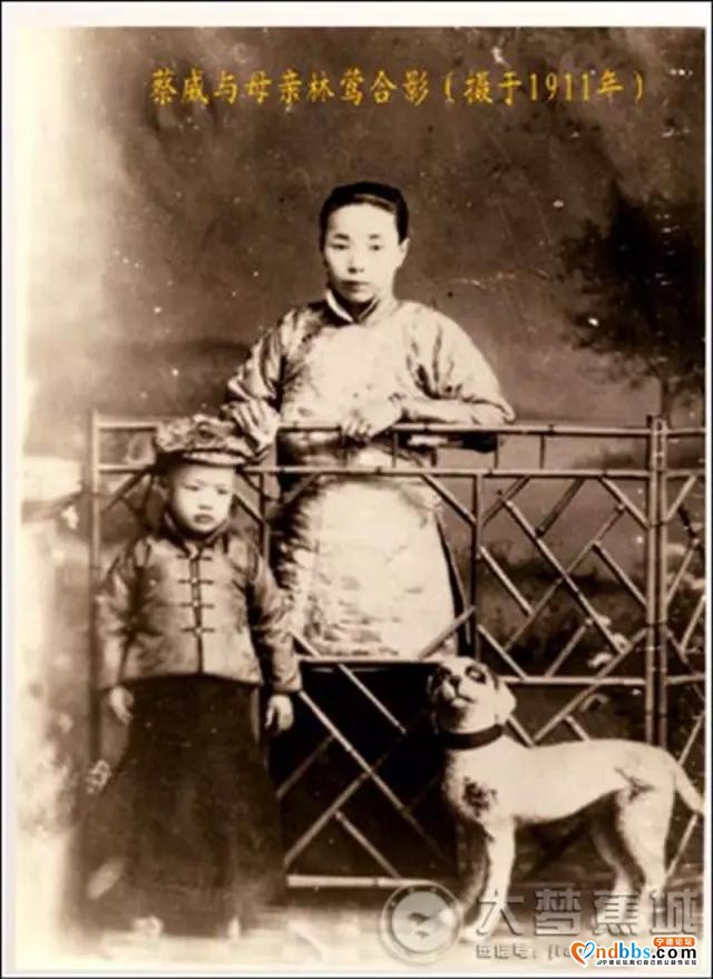 清明祭 | 半世寻觅"红色双雄"（下）-12.jpg