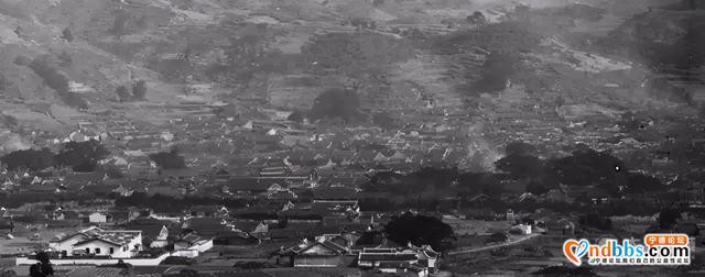 清明祭 | 半世寻觅"红色双雄"（上）-10.jpg