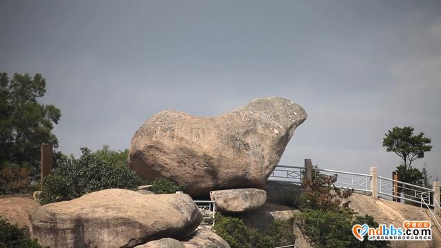 主播带你游蕉城 | 斗姆圣地有“热度”！临奇石、观沧海~-4.jpg