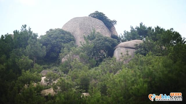主播带你游蕉城 | 斗姆圣地有“热度”！临奇石、观沧海~-6.jpg
