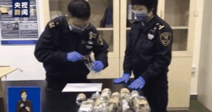 警告！这些都是你不该触碰的“另类宠物”-4.jpg