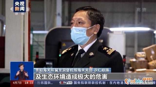 警告！这些都是你不该触碰的“另类宠物”-8.jpg