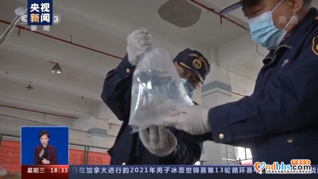 警告！这些都是你不该触碰的“另类宠物”-7.jpg