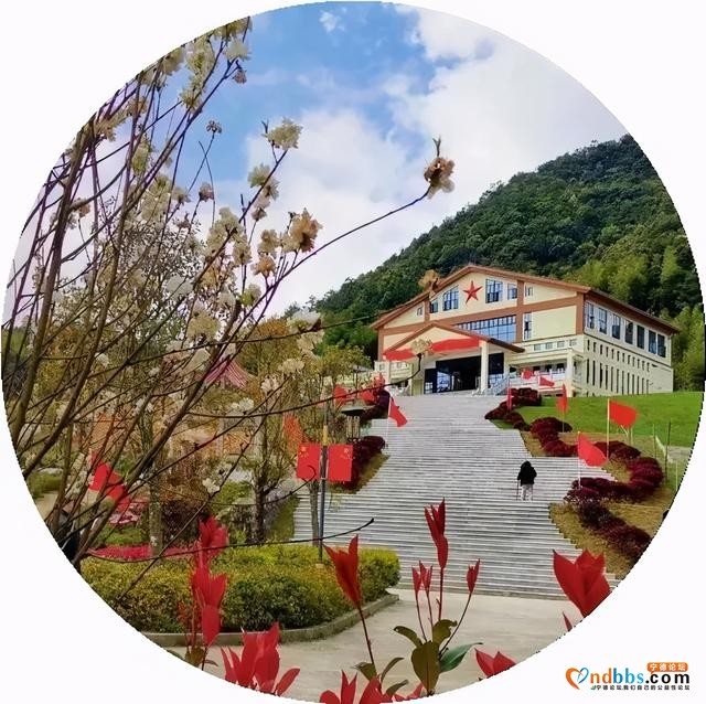 乡村振兴大擂台 | 寻宝桃花溪-1.jpg