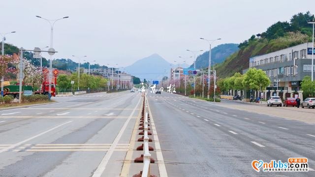 云游宁德丨浪漫！宁德市区这条路又到了最美的季节-5.jpg