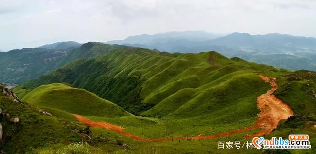蕉城洋中镇美景-5.jpg