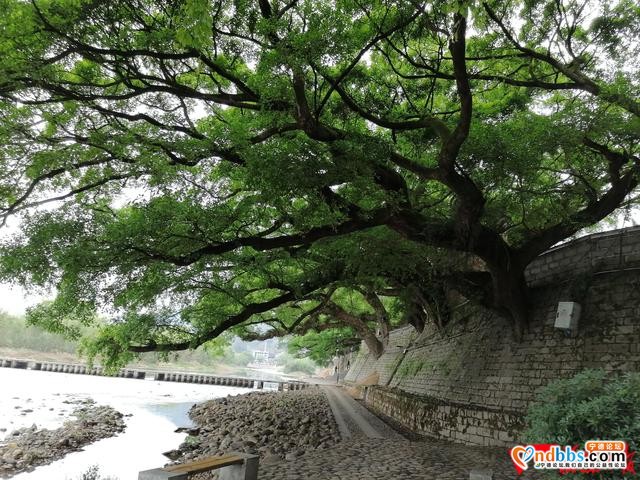 旅游项目快跑 日子越来越好-1.jpg