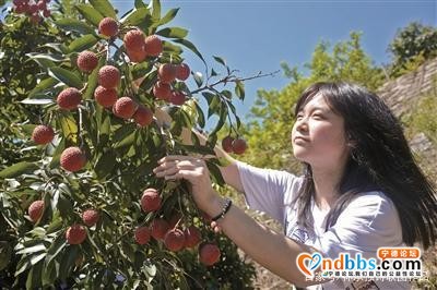 蕉城飞鸾镇美景-14.jpg