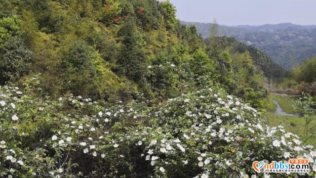 宁德丨春暖花开 正是踏青好时节-2.jpg