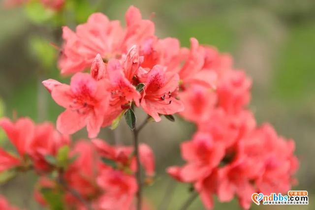 宁德丨春暖花开 正是踏青好时节-3.jpg