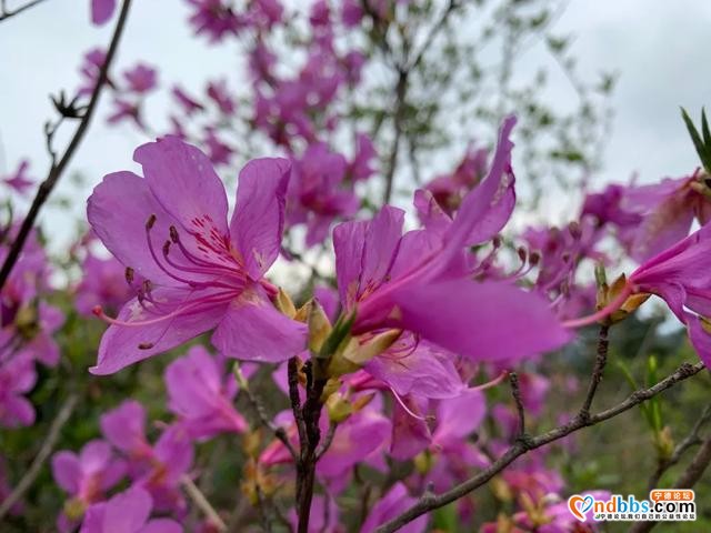 宁德丨春暖花开 正是踏青好时节-5.jpg