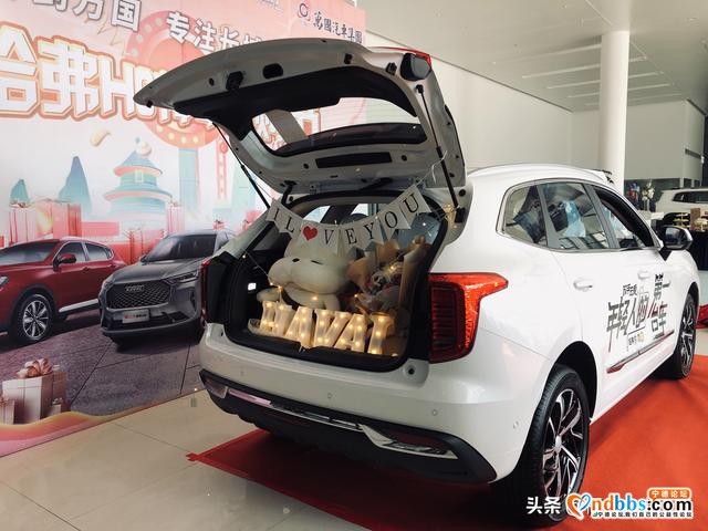 是初恋是心动是你——哈弗初恋宁德上市发布会圆满举行-2.jpg