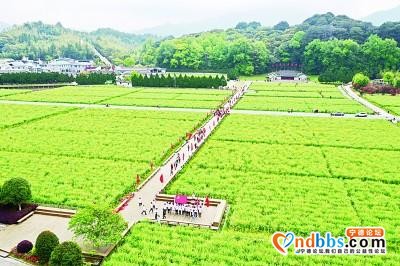 深化拓展新时代文明实践中心建设-1.jpg