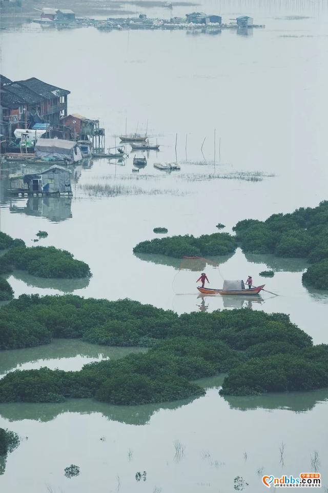 吃过大黄鱼，才知宁德人——“阳光打假”走进福建宁德-8.jpg