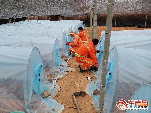 宁德：实施“五化”绿色公路，助推降本增效-1.jpg