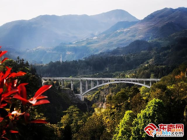 宁德：实施“五化”绿色公路，助推降本增效-3.jpg