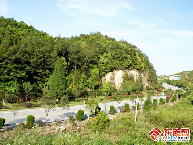 宁德：实施“五化”绿色公路，助推降本增效-4.jpg
