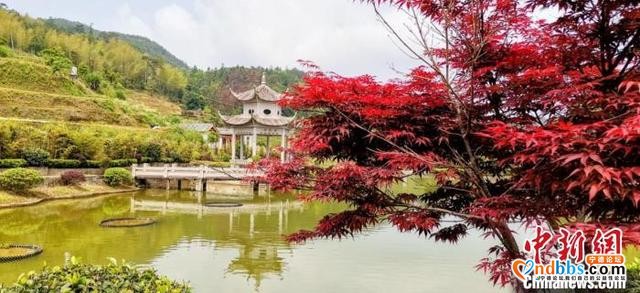 探访中华游氏仙姑香脉传承圣地：宗亲联谊架起两岸交流桥梁-3.jpg