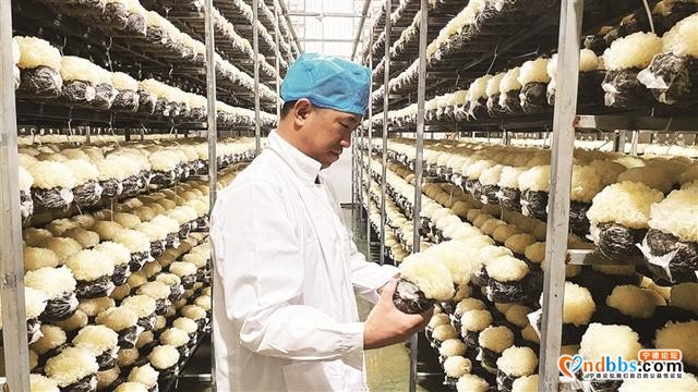 古田的菌事-1.jpg