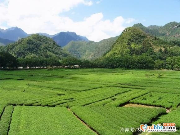 蕉城霍童镇美景-6.jpg