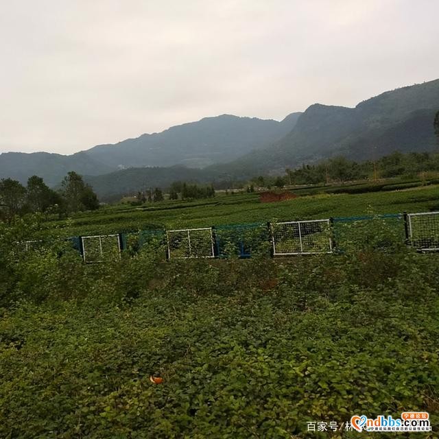 蕉城霍童镇美景-7.jpg