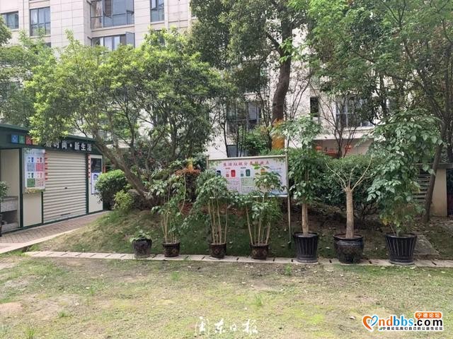 “怪事”！东侨这些小区的垃圾桶，都上哪儿了？-3.jpg