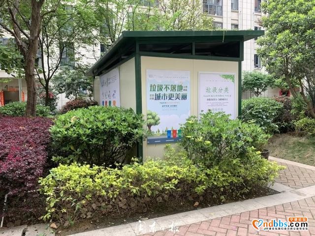 “怪事”！东侨这些小区的垃圾桶，都上哪儿了？-2.jpg