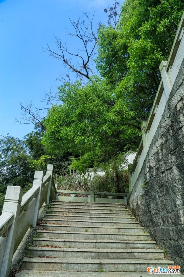 围塔而建的小村，掩藏着隐于市井中的宁德老教堂-8.jpg