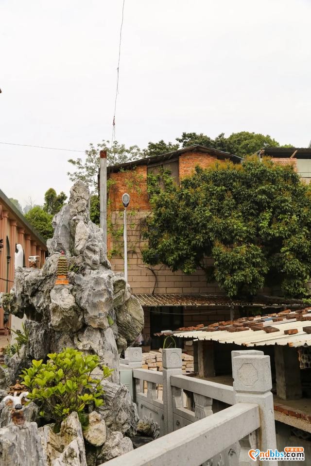围塔而建的小村，掩藏着隐于市井中的宁德老教堂-25.jpg