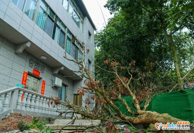 围塔而建的小村，掩藏着隐于市井中的宁德老教堂-36.jpg