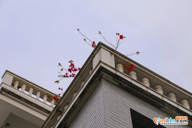 围塔而建的小村，掩藏着隐于市井中的宁德老教堂-38.jpg