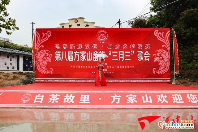 宁德：欢度“三月三”唱响山哈情-1.jpg