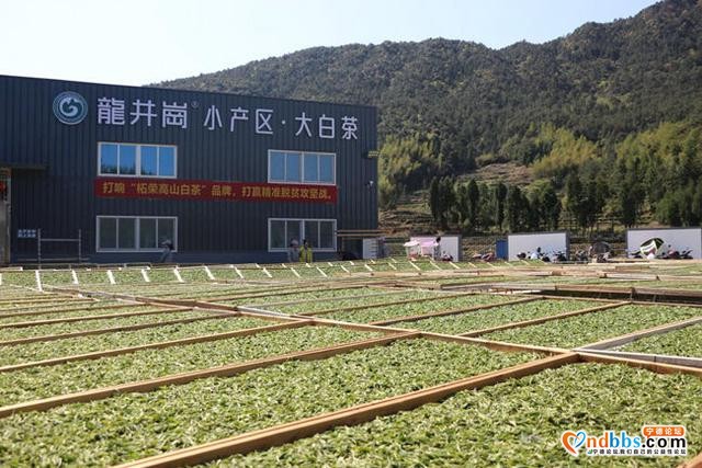 宁德柘荣县城郊乡深化农村改革 让乡村振兴活力十足-3.jpg